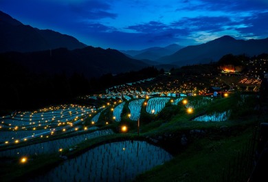 Maruyama Senmaida in Mie Prefecture