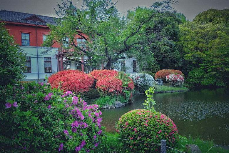 Koishikawa Botanical Garden