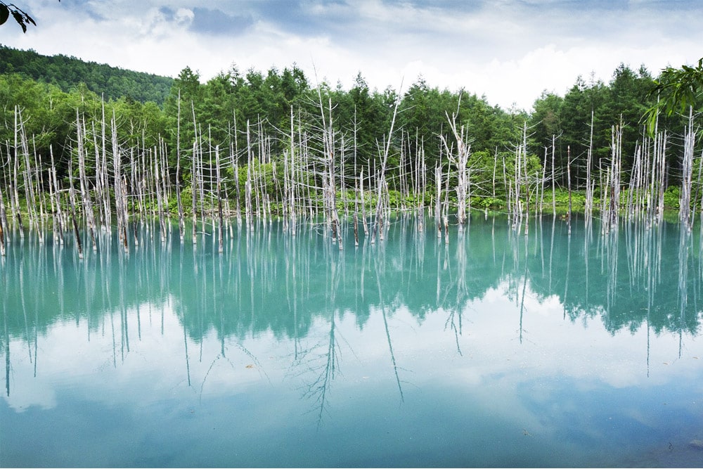 shirogane blue pond of Hokkaido Prefecture