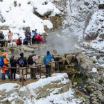 Jigokudani Monkey Park