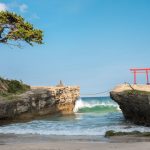 Shirahama Shrine in Shizouka Prefecture is a picturesque shrine