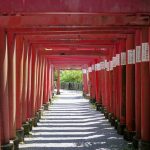 Torii gates of Takahashi Inari Shrine