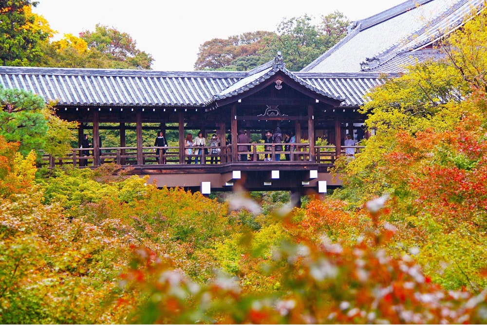 Tofuku-ji in Kyoto prefecture during the autumn