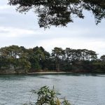 One of the islands of Matsushima bay