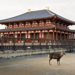 Kofuku-ji in Nara Prefecture