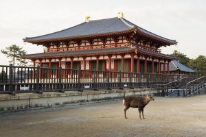 Kofuku-ji in Nara Prefecture