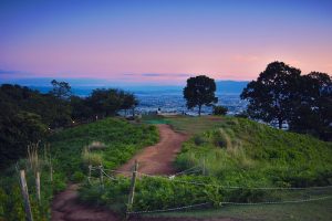 Mt.Wakakusa in Nara