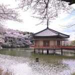 The golden pavaillion of Abe Monjuin Temple