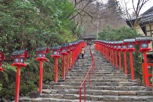 Lanterns lining the path at Kifune Shrine