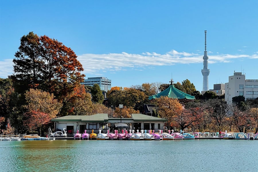 Shinobazuno Pond in Ueno Park