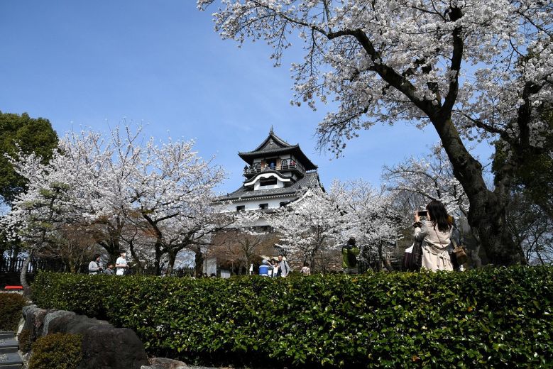 Inuyama Castle in Spring