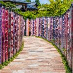 Kimono Forest Arashiyama Kyoto
