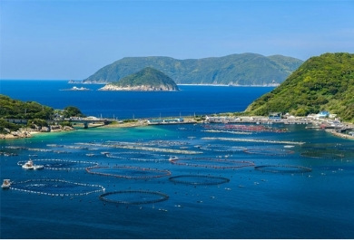 Kashiwajima Odo Observatory, Kochi Prefecture