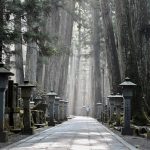 Quiet, grave and lantern lined path of Okunoin Cemetery