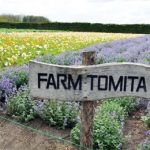 Poppy Field at Farm Tomita