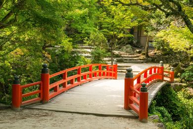 Momijidani Park is a popular destination year round, but is most popular during Autumn