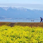 Lake Biwa, Shiga Prefecture
