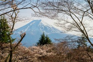 Mt. Fuji Climbing fees set to increase