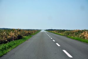 Sarufutsu Esanuka-sen Is a straight road in Hokkaido, known for the wildlife which frequents this area