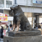 Hachiko Statue in Shibuya, Tokyo