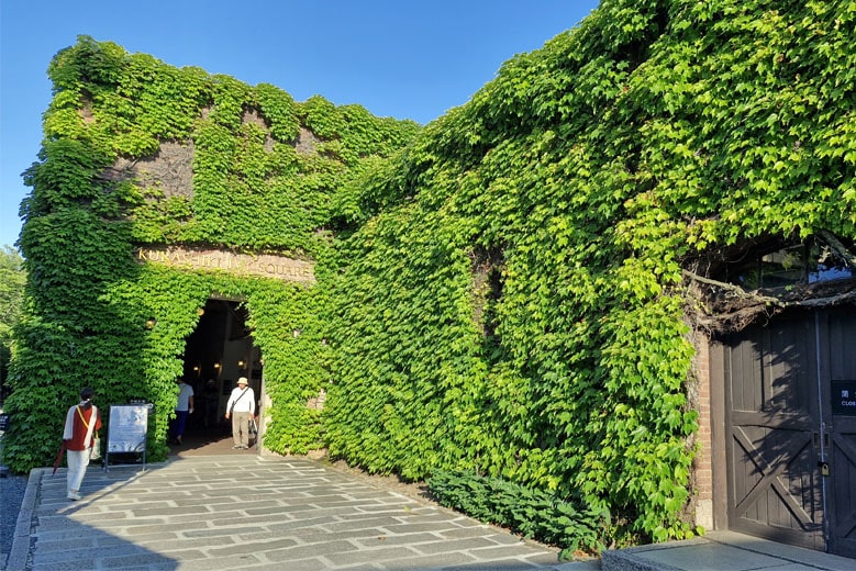 Kurashiki Ivy Square outer ivy covered walls
