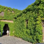 Kurashiki Ivy Square outer