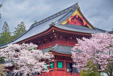 Red roof of Nikkozan Rinnoji Temple in Nikko