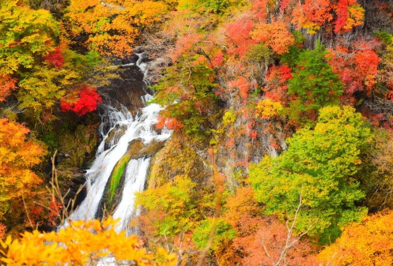 Kirifuri Falls in Tochigi prefecture, surrounded by colourful autumn foliage.