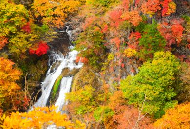 Kirifuri Falls in Tochigi prefecture, surrounded by colourful autumn foliage.