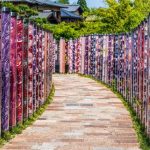 Kimono Forest Arashiyama Kyoto