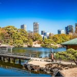 Hamarikyu Gardens in Tokyo