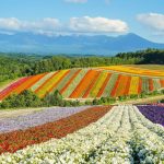 Shikisai no oka near Furano and Biei, Hokkaido prefecture