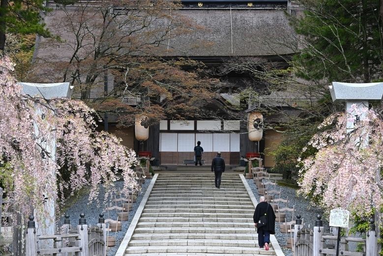 Stone steps leading up to Kongobuji temple in Koyasan, cherry blossoms line the path.
